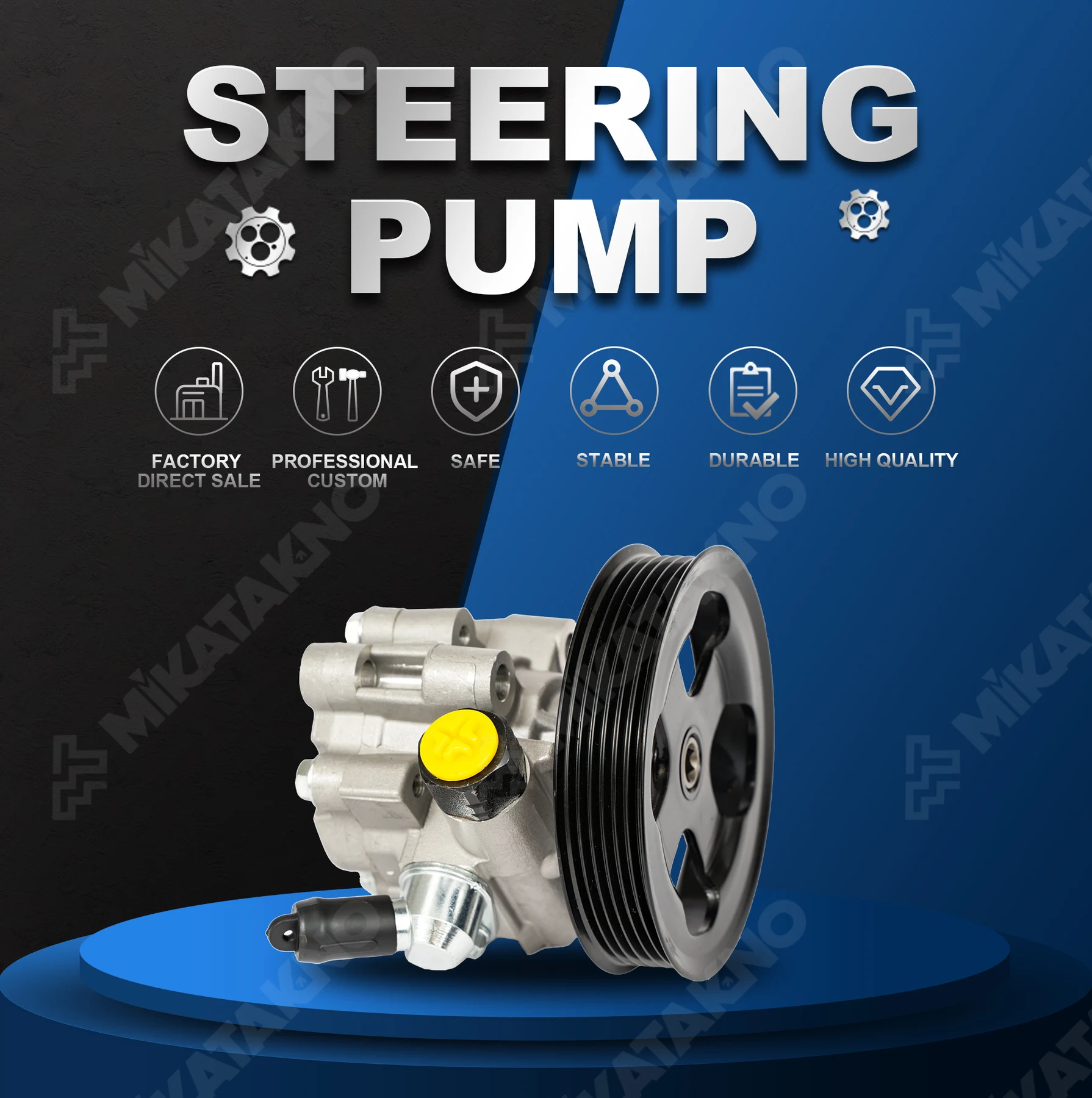 Power Steering Pumps